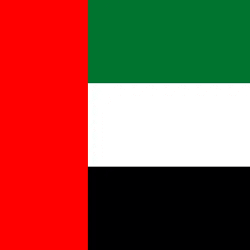 Travel eSIM United Arab Emirates 1 days - Hi Romeo