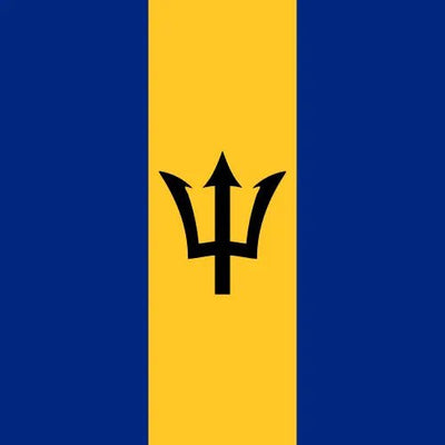 Travel eSIM Barbados 1 days - Hi Romeo