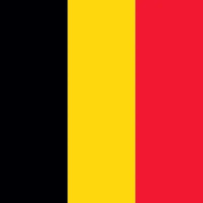 Travel eSIM Belgium 1 days - Hi Romeo