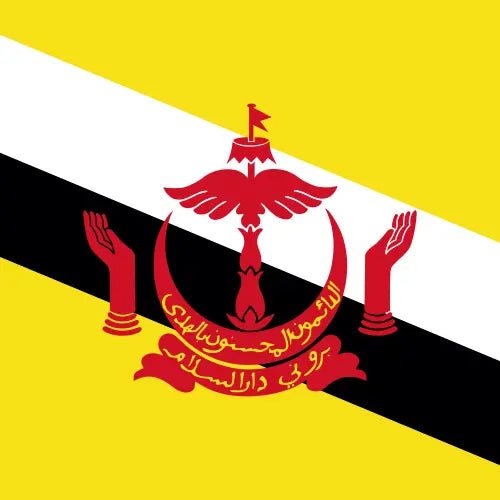 Travel eSIM Brunei Darussalam 1GB 7Days days - Hi Romeo
