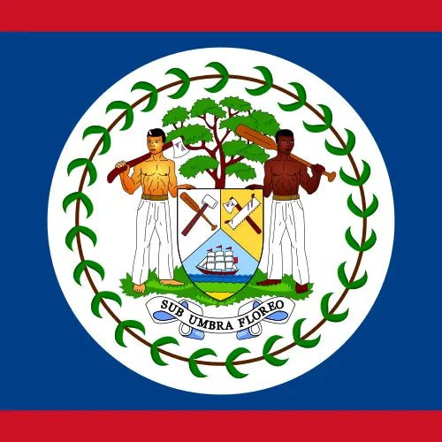 Travel eSIM Belize 1 days - Hi Romeo