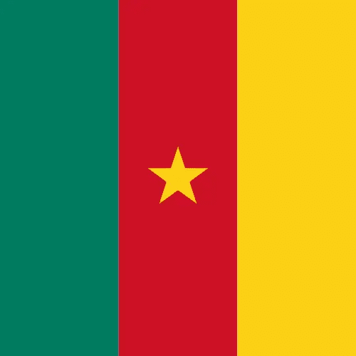 Travel eSIM Cameroon 1 days - Hi Romeo