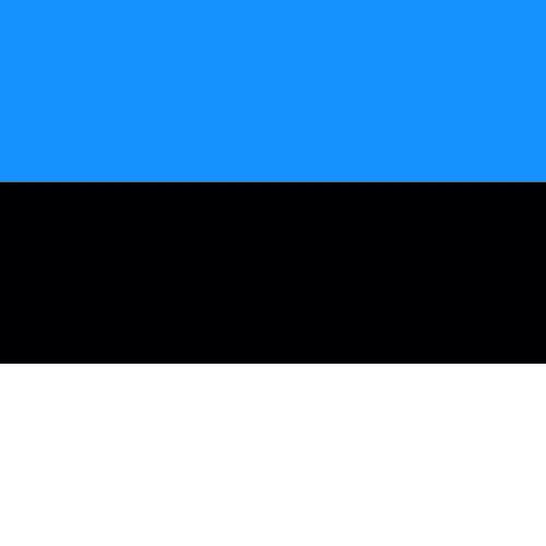 Travel eSIM Estonia 1 days - Hi Romeo