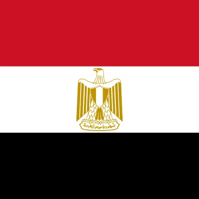 Travel eSIM Egypt 1 days - Hi Romeo