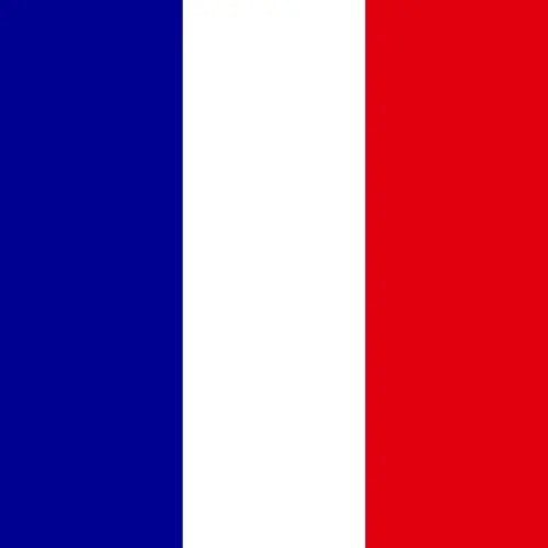 Travel eSIM French Guiana 1 days - Hi Romeo