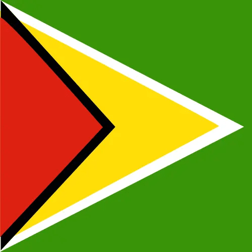 Travel eSIM Guyana 1 days - Hi Romeo