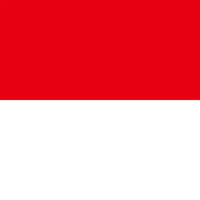 Travel eSIM Indonesia 1 days - Hi Romeo