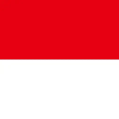 Travel eSIM Indonesia 1 days - Hi Romeo