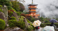 China mainland & Japan & South Korea Unlimited eSIM