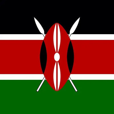 Travel eSIM Kenya 1 days - Hi Romeo