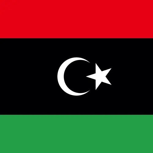 Travel eSIM Libya 1 days - Hi Romeo
