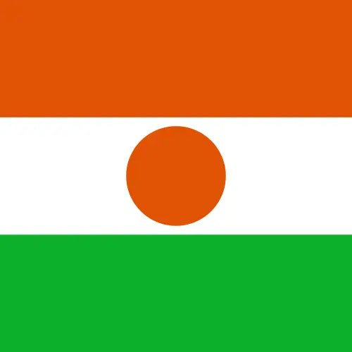 Travel eSIM Niger 1 days - Hi Romeo