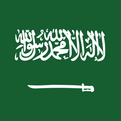 Travel eSIM Saudi Arabia 1 days - Hi Romeo