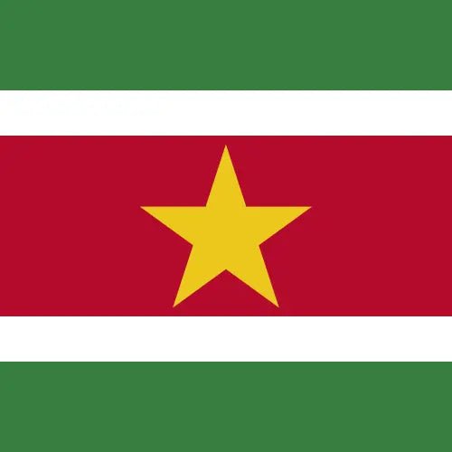Travel eSIM Suriname 1 days - Hi Romeo