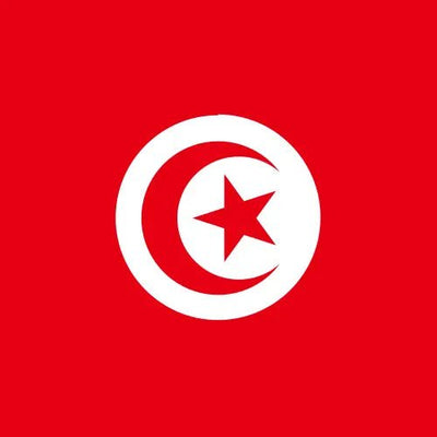 Travel eSIM Tunisia 1 days - Hi Romeo