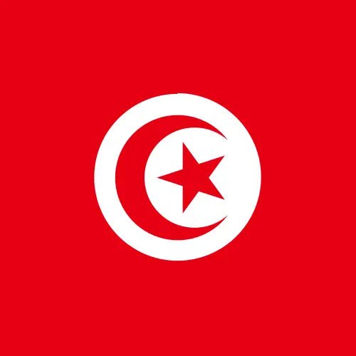 Travel eSIM Tunisia 1 days - Hi Romeo