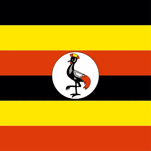 Travel eSIM Uganda 1 days - Hi Romeo
